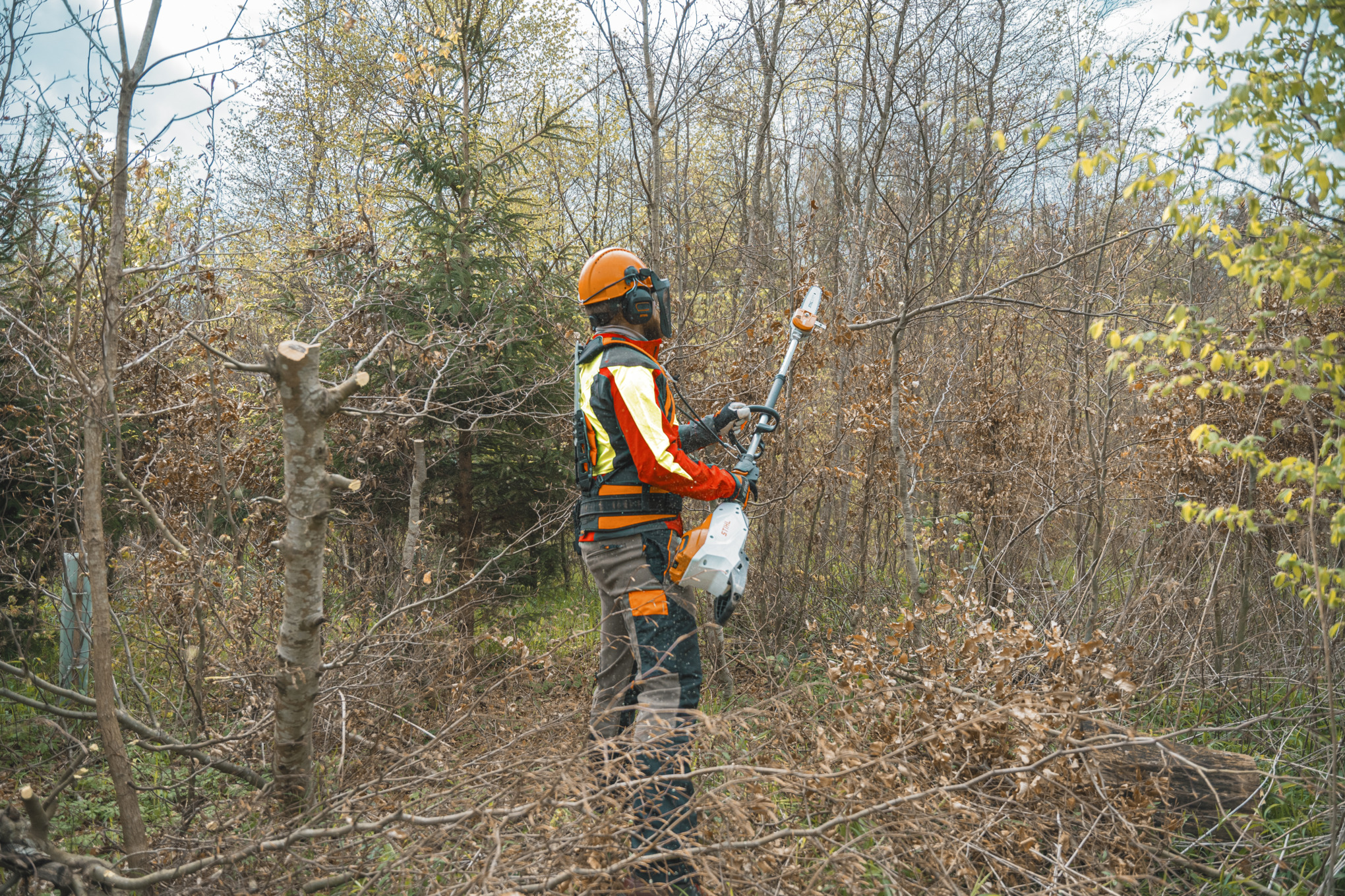 Osoba při pohledu zezadu řeže větev vyvětvovací pilou STIHL HTA 150