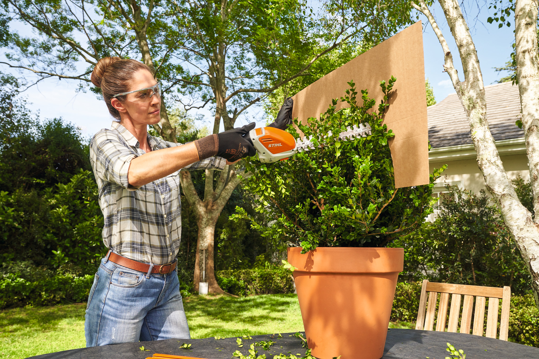 Žena stříhá zimostráz do tvaru koule pomocí akumulátorových nůžek na keře STIHL HSA 26 s použitím kartonové šablony