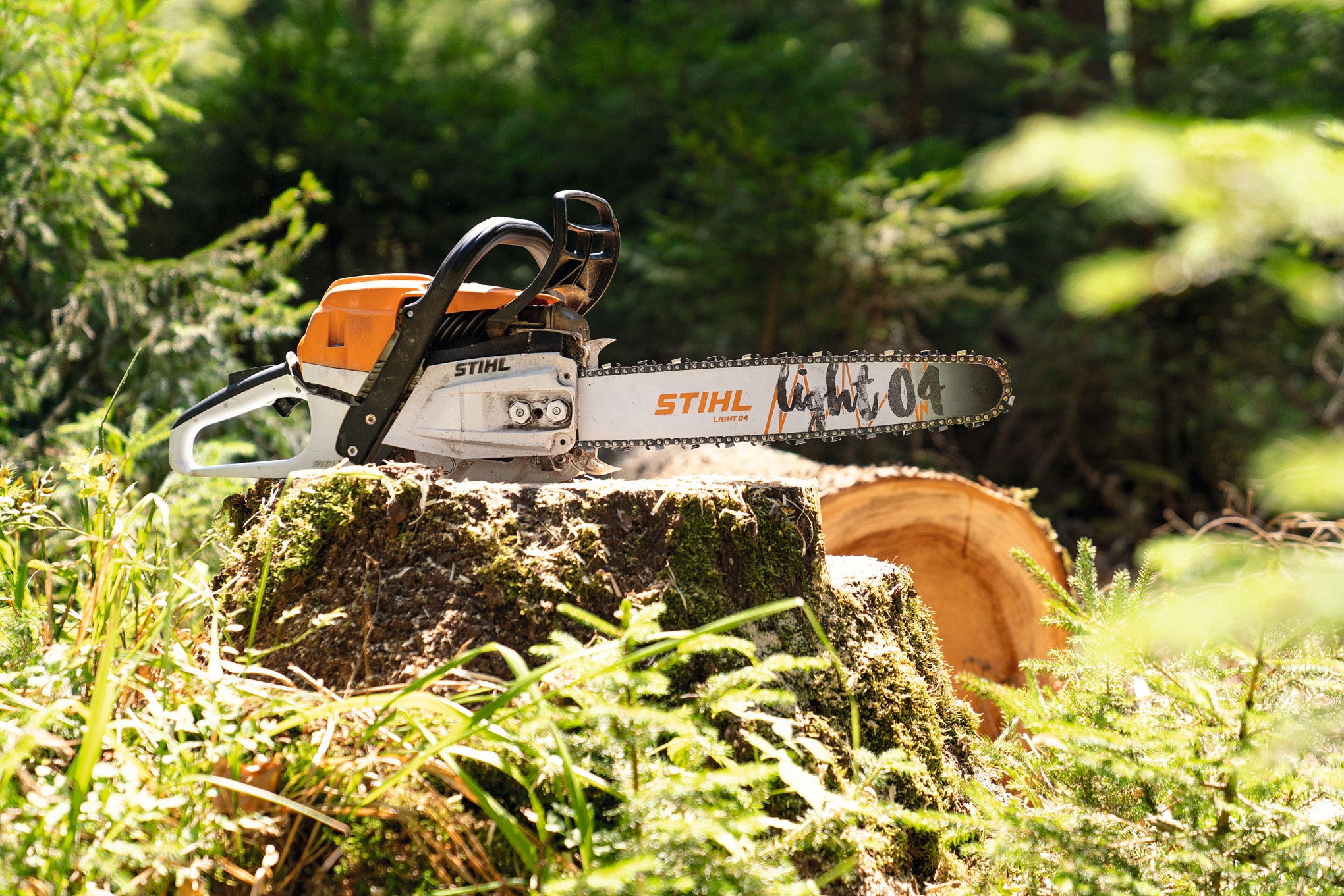 Benzinová řetězová pila STIHL MS 261 C-M na pařezu v lese