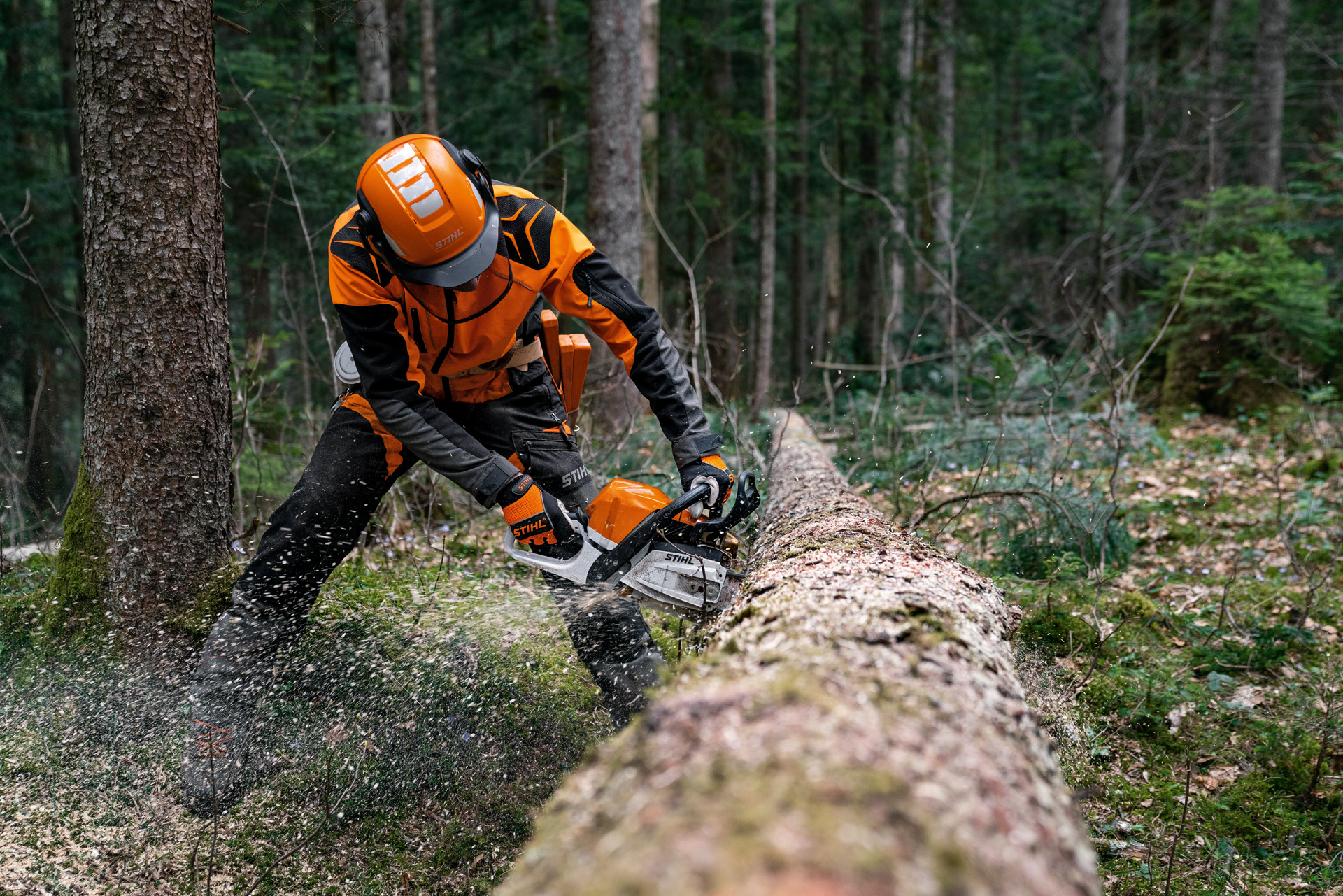 Muž v ochranných pomůckách řeže pokácený kmen stromu benzinovou motorovou pilou STIHL MS 400 C-M s magnéziovým pístem