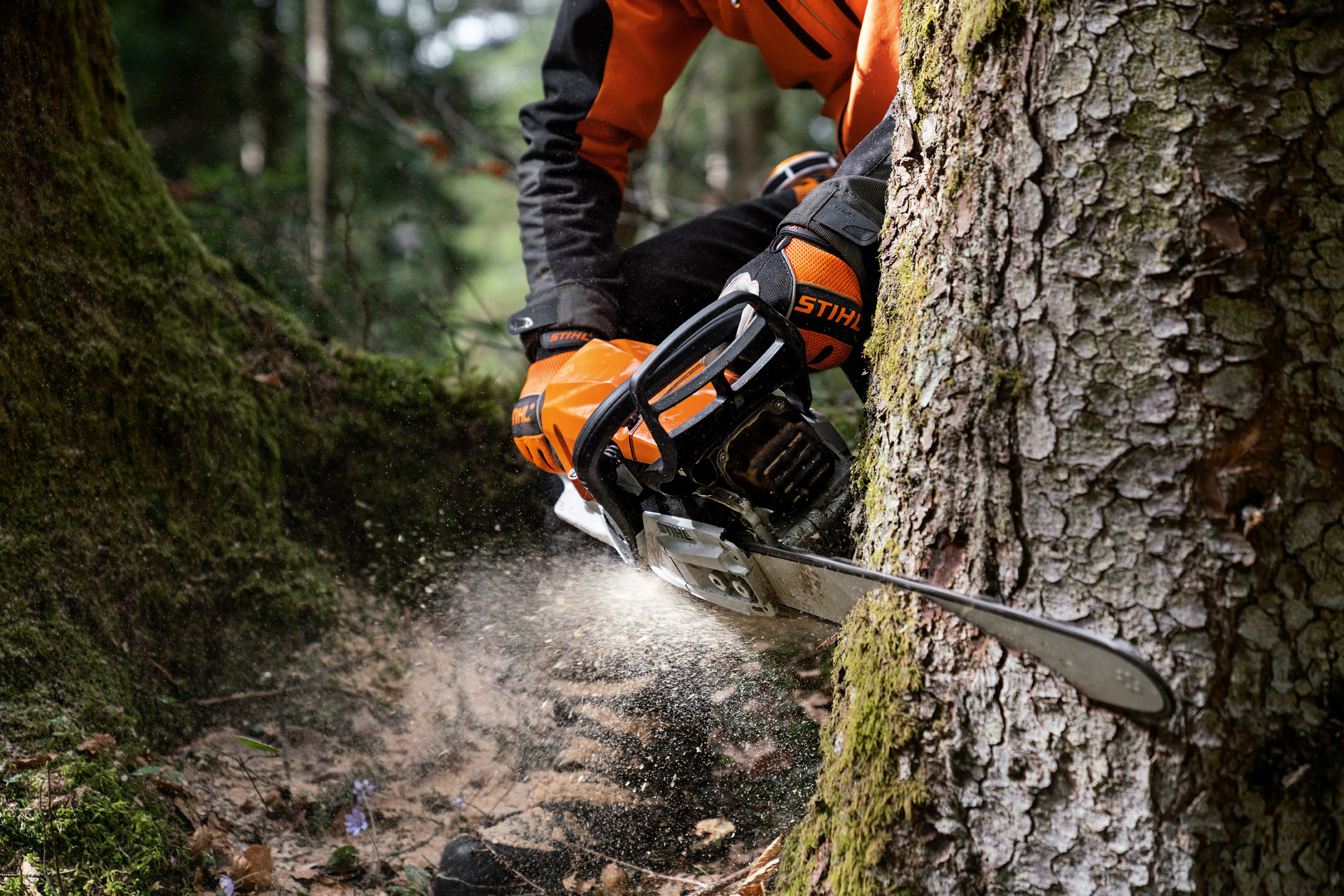 Osoba v ochranných pomůckách řeže strom benzinovou motorovou pilou STIHL MS 400 C-M s magnéziovým pístem.