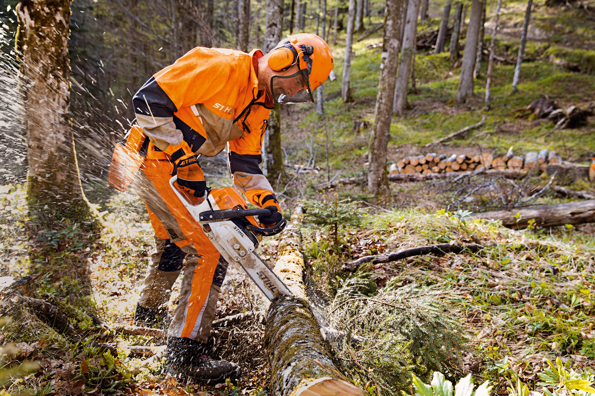 Lesní dělník v ochranném oděvu STIHL včetně kalhot Dynamic Vent (třída ochrany proti proříznutí 1) řeže v lese strom motorovou pilou STIHL