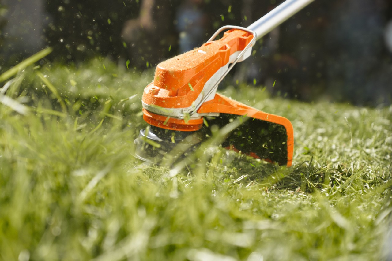 Rasen wird mit einer STIHL FSA 60 R Akku-Motorsense gemäht